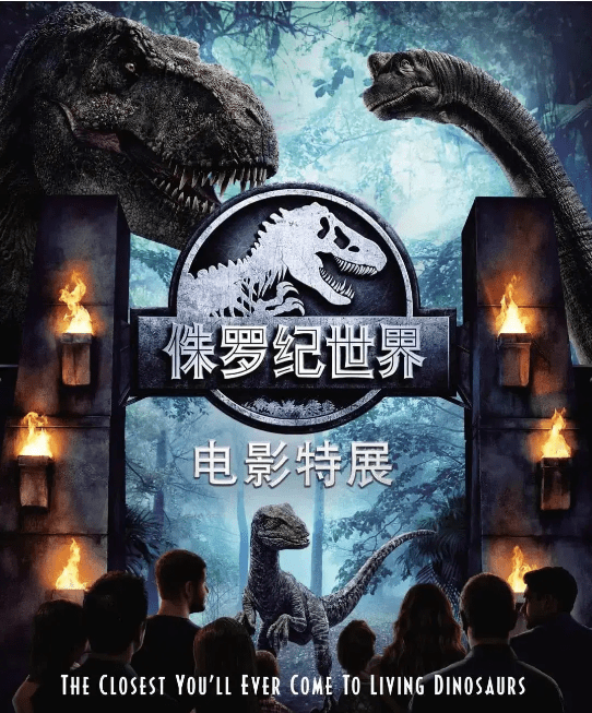 探索数字世界的奇妙之旅，揭秘www.493333.com的神秘面纱
