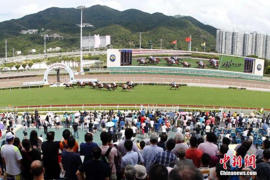 探索香港马会，历史、文化与资料解析香港赛马会资料信息唯一官方网站