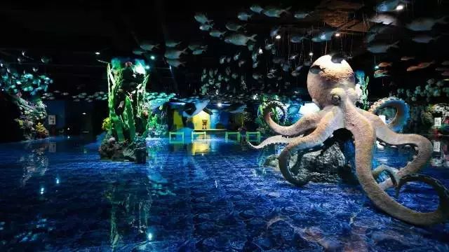 探梦之境·数海奇缘（www.dreamland-ofnumbers2049)