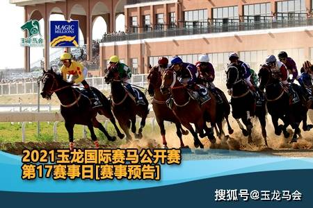今期马会传真，揭秘香港赛马的精彩瞬间与背后故事今期马会传真图片1