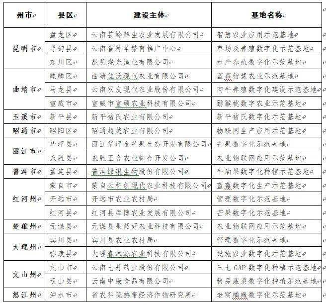 免费网站资源，2019年后的求索之旅求个网站这么难吗2021年31bobo