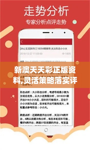 免费获取二四六(946CC)资料，全面解析与安全指南二四六(944cc)资料免费246