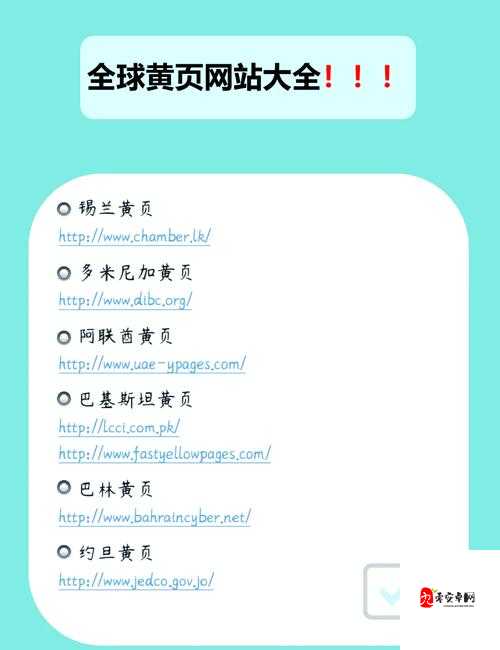 探索WWW493.com的神秘世界—揭秘网络新奇与挑战