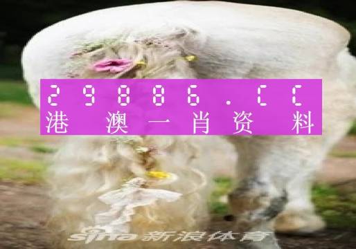 2036澳门资料免费大全，探索未来与机遇的钥匙2023澳门资料免费大全老版