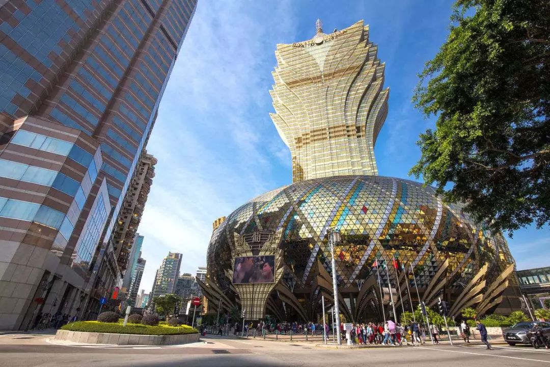 澳门新貌，探寻最精准的龙门之旅新澳门最精准正最精准龙门蚕