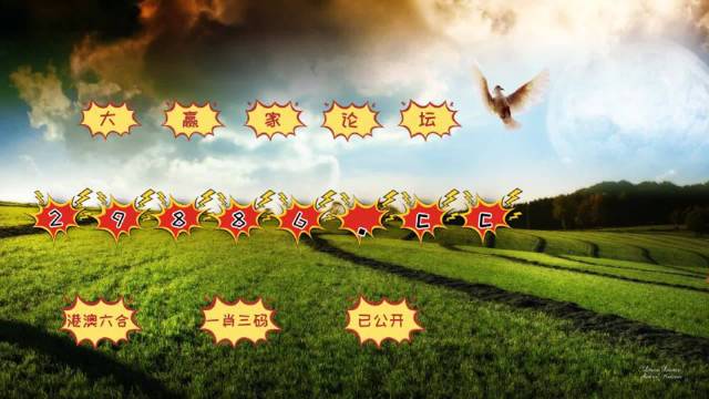 澳门彩历史开奖记录