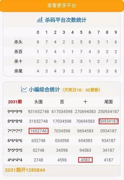 今晚特马码，揭秘彩票背后的数字魔法与心理博弈今晚特马是什么资料
