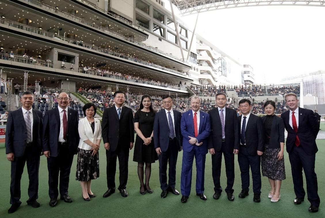 2019年香港马会资料大全，全面解析与精彩回顾香港2021年马会资料大全