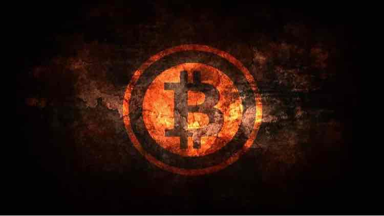 探索正版四不像吧，数字时代的版权迷思与文化交融正版四不像吧135期图