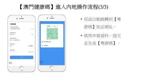 探索新澳门，一码、肖与淮今朝的智慧指引