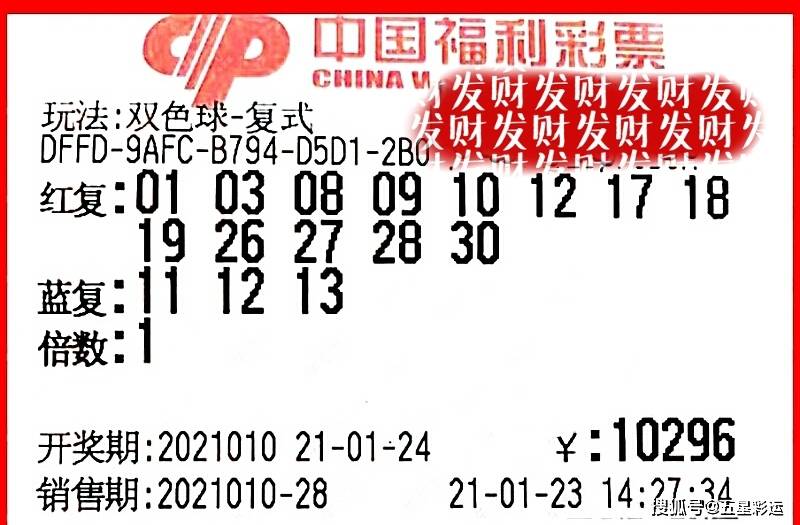 2043年，新澳门今晚开奖结果的数字迷宫与理性思考今晚澳门彩开奖结果查24号25号