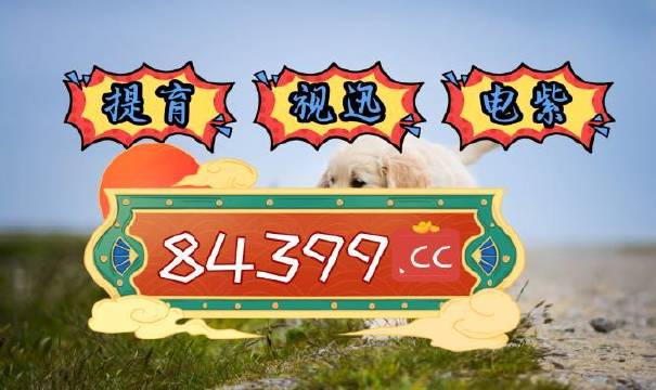 澳门新开奖记录，汇聚天下高手的智慧与激情澳门2021年最新版开奖记录