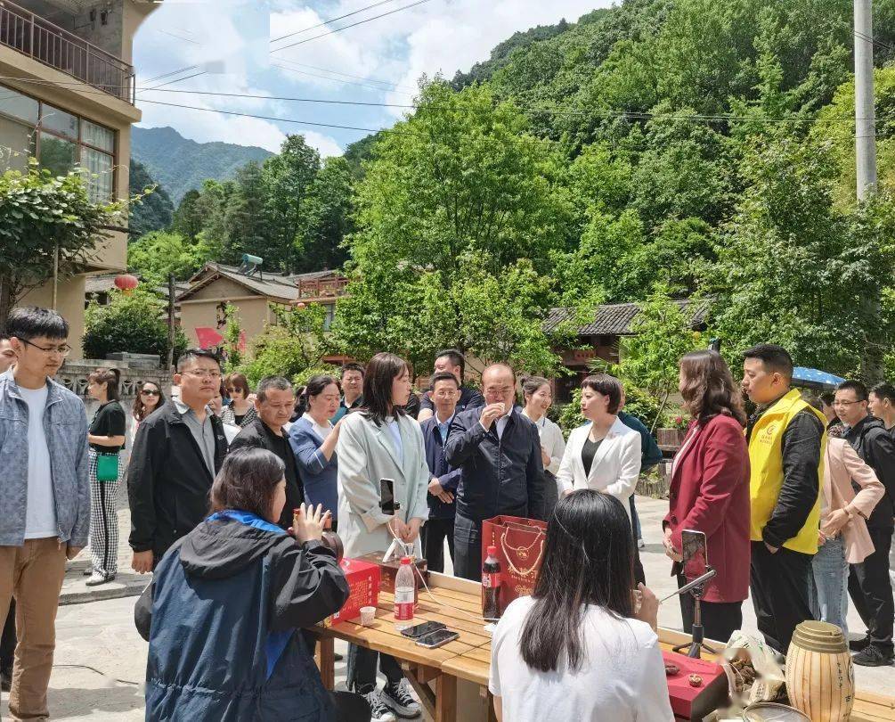 澳门新视频开奖直播现场回放,如何轻松观看与回顾澳门开奖现场直播2021am