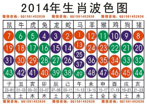 澳门十二生肖49码表
